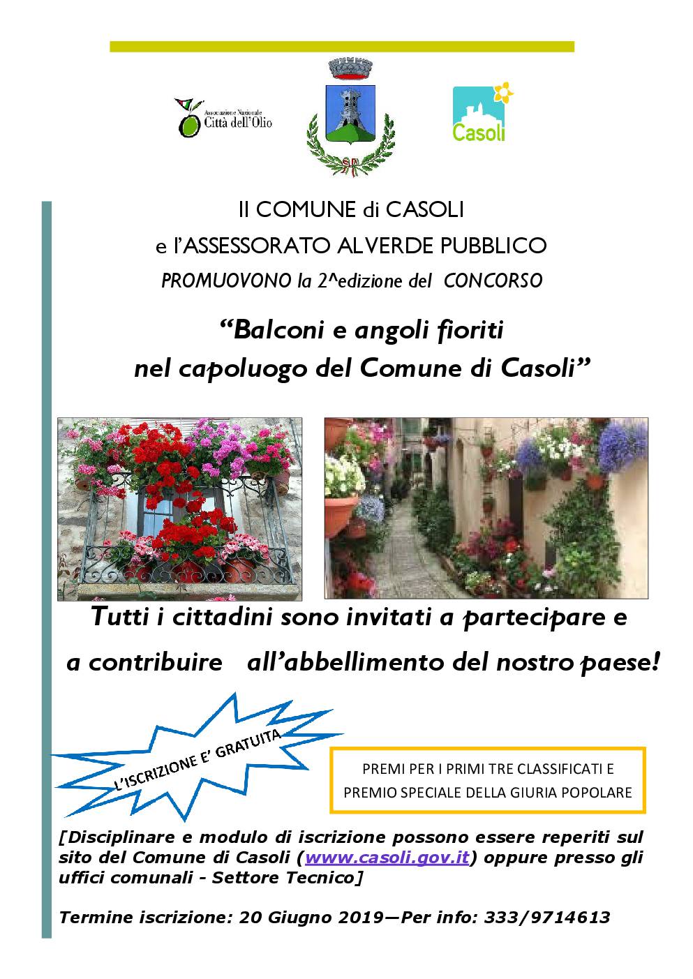 Locandina del concorso