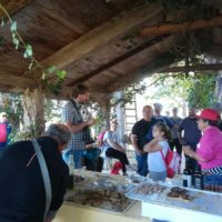 Camminata tra gli ulivi 2019