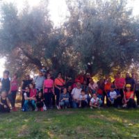 Camminata tra gli ulivi 2019