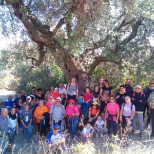 Camminata tra gli ulivi 2019