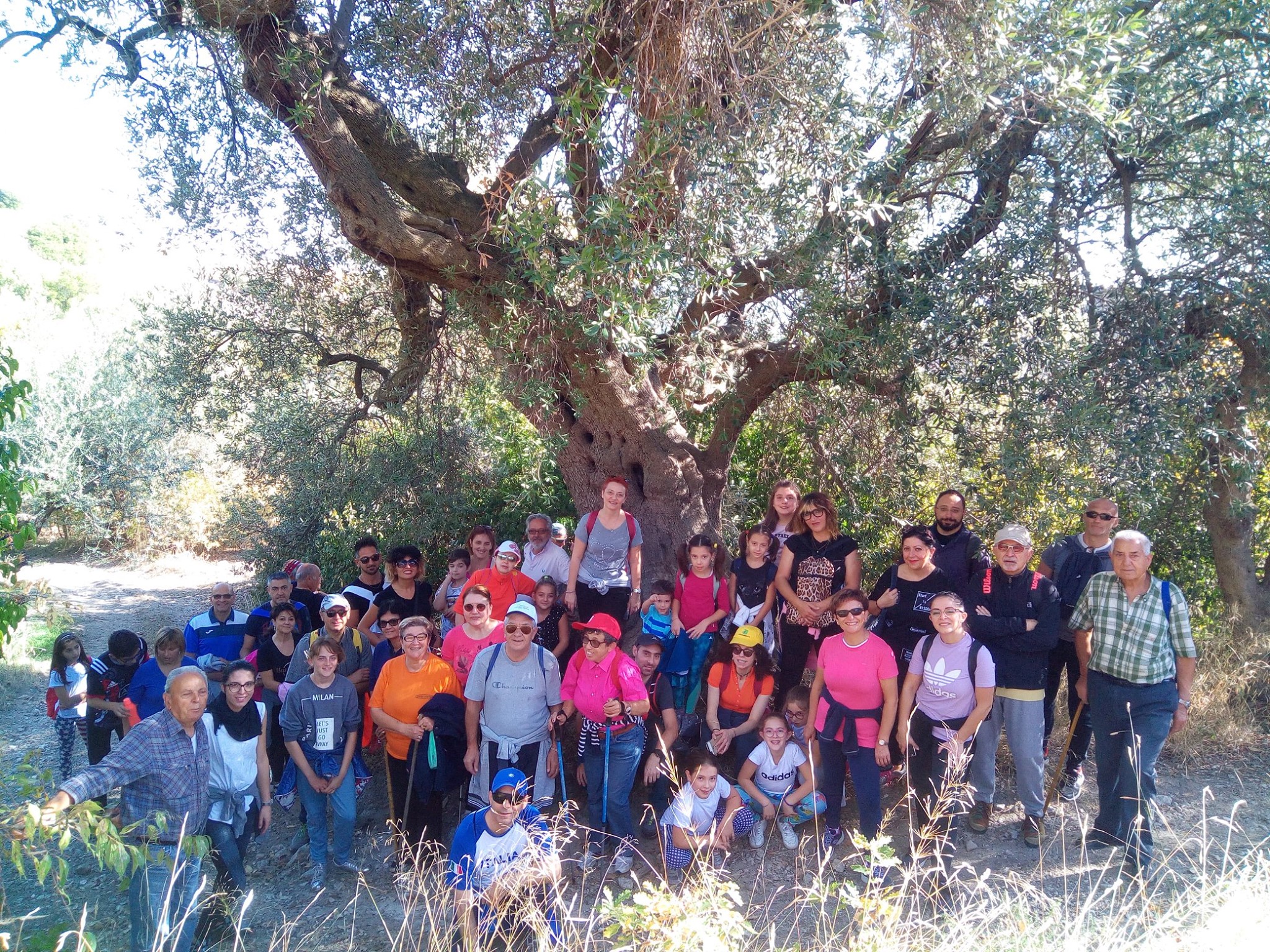 Camminata tra gli ulivi 2019