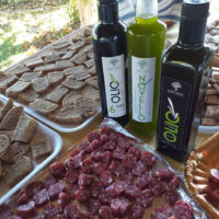 Camminata tra gli ulivi 2019