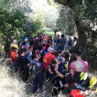 Camminata tra gli ulivi 2019