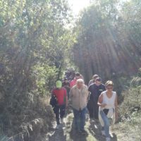 Camminata tra gli ulivi 2019